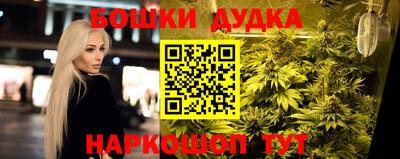 сатива Апшеронск
