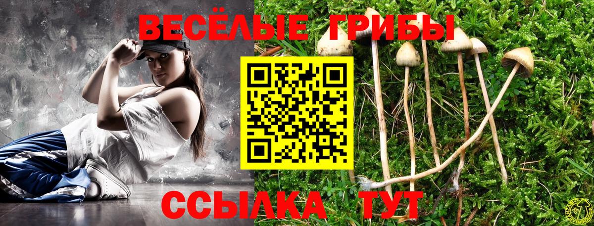 Псилоцибиновые грибы мицелий  Псилоцибиновые грибы прущие грибы  Вход с VPN  Воскресенск 